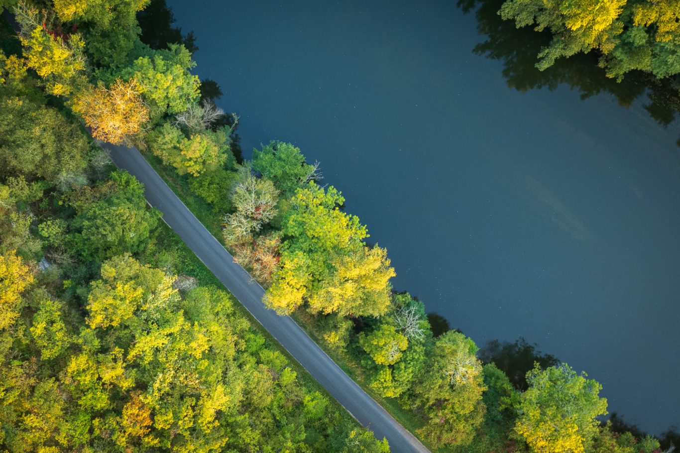 Impression tableau & poster Impression de photo sur tableau aluminium ou poster en papier XT.
Image banque de donnée personnel ou création sur demande.
